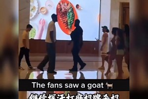 免费突尼斯vs日本直播高清无插件高清流畅